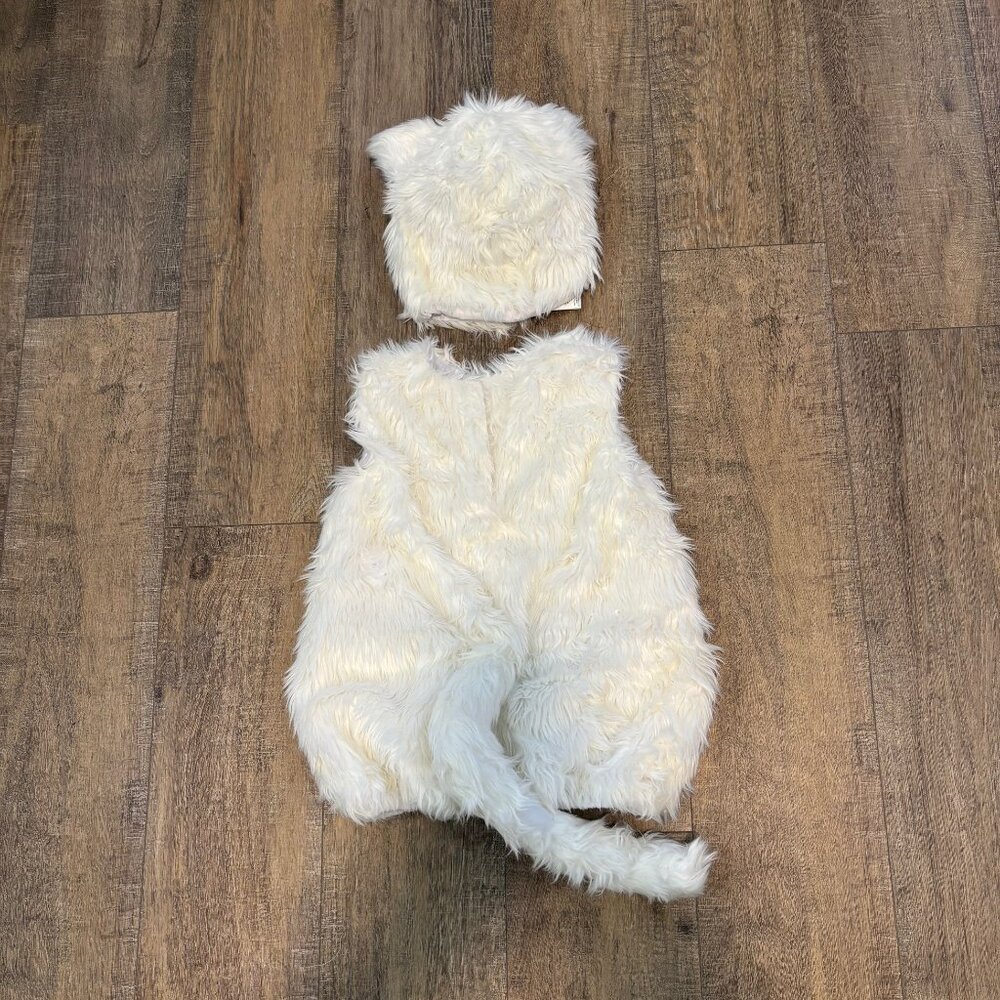 Child's Cat Costume/Pottery Barn/ Size 4-6 - Picture 2 of 5